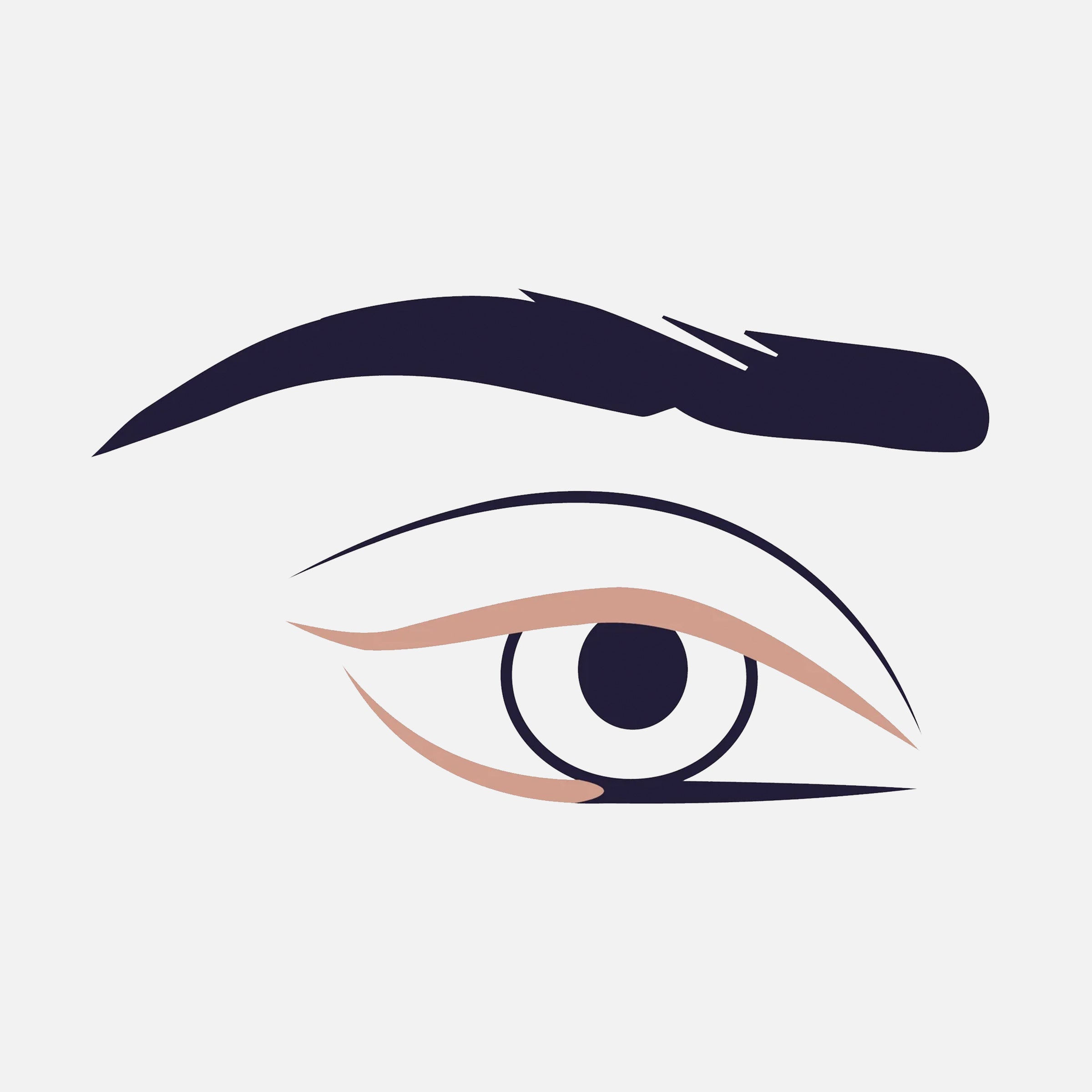 317 Wing Liner Brush