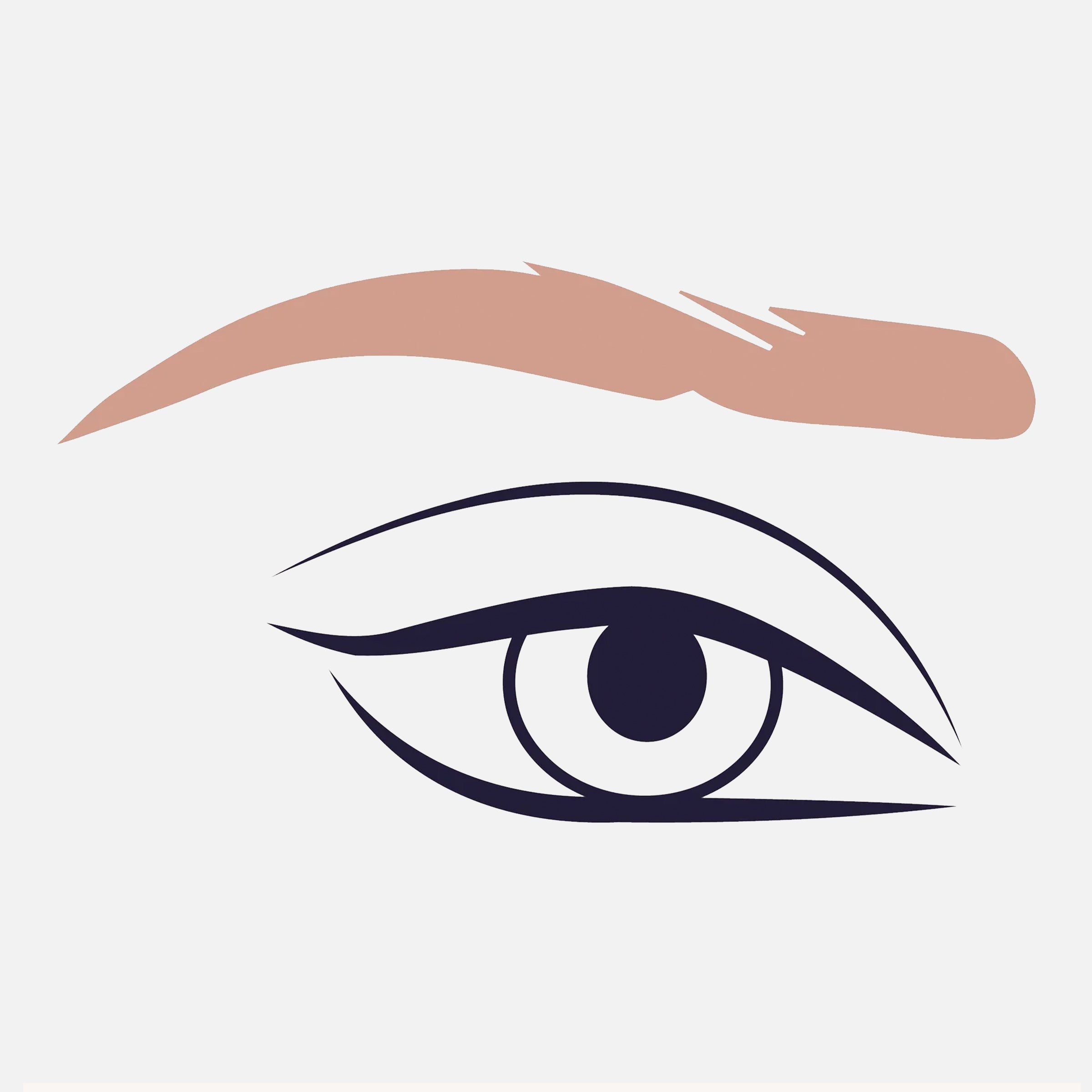 322 Brow Liner Brush